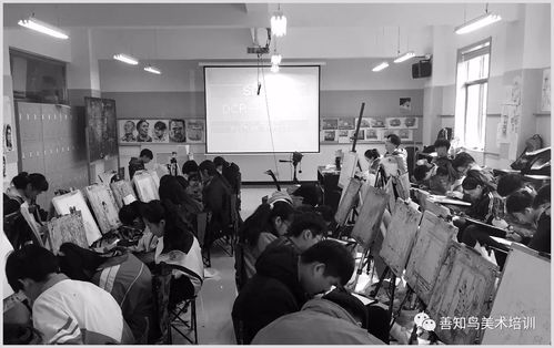 联考之后，艺考集训的黄金期 善知鸟校考集训精品班招生