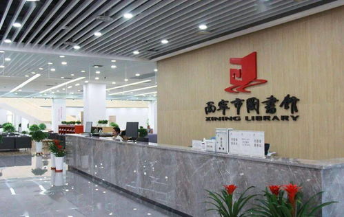 西宁四馆齐开，艺术培训新风尚